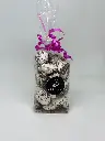 Mignardise2.webp